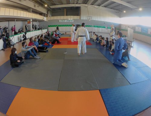 Diumenge 12 de desembre jornada Judo familiar