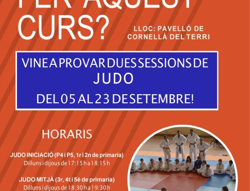 Vine a provar dues sessions de Judo