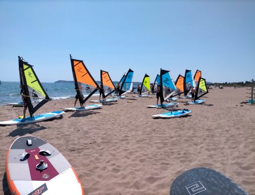 Judokes windsurfistes