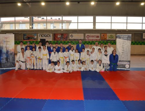 Trobada de Judo en Família 11-12-22