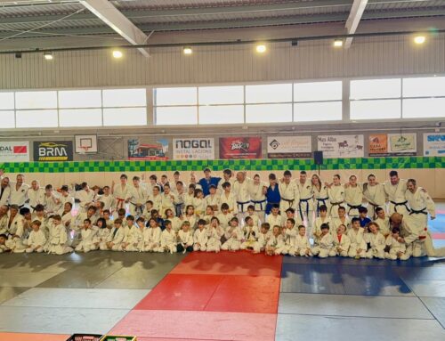 21 de desembre Jornada de Judo en família
