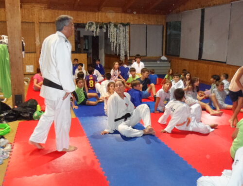 Colònies Judo 2026
